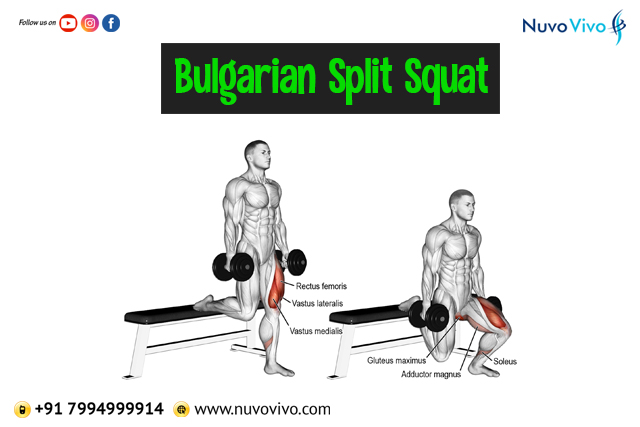 Bulgarian Split Squats