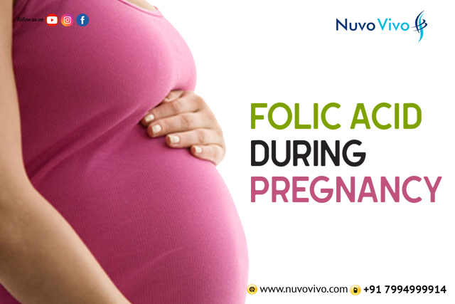 Folic Acid - Pregnancy