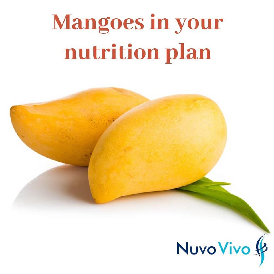 Mangoes in your nutrition plan