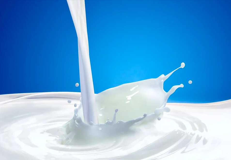 Types of Milk