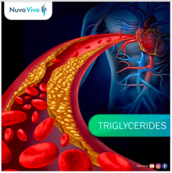 Triglycerides