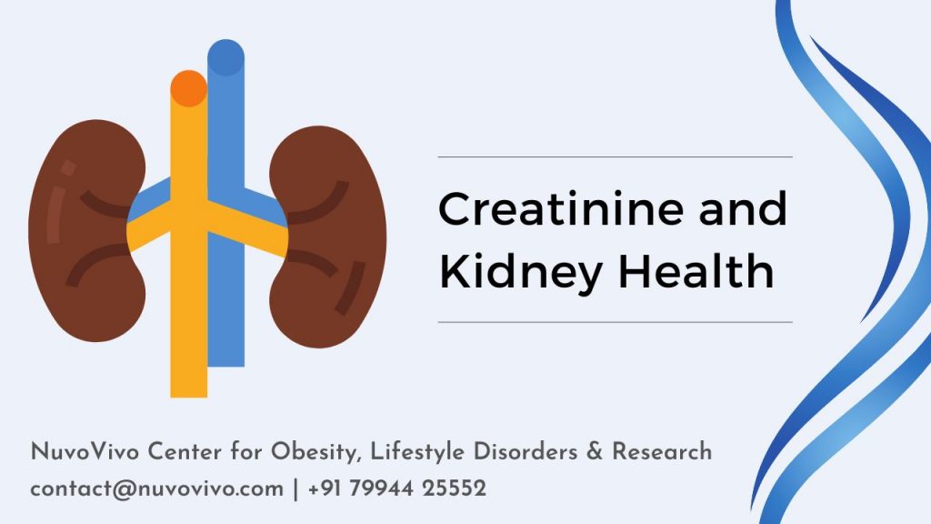 Creatinine and Kidney Health Kochi Kerala